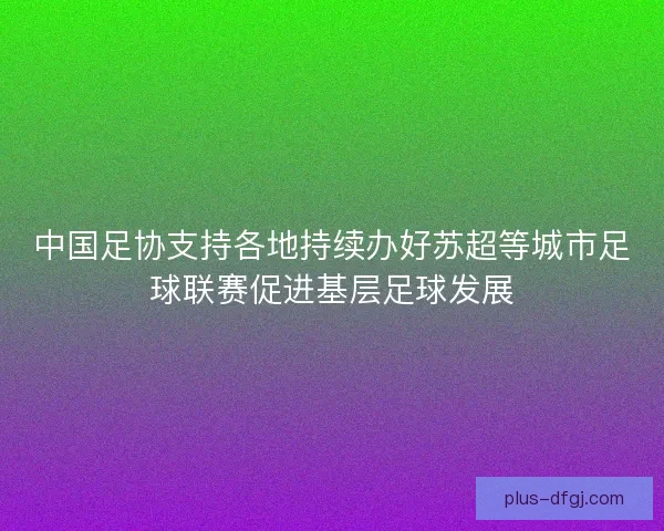 中国足协支持各地持续办好苏超等城市足球联赛促进基层足球发展